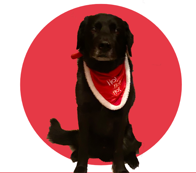 Kolmundur Vargur Jónsson