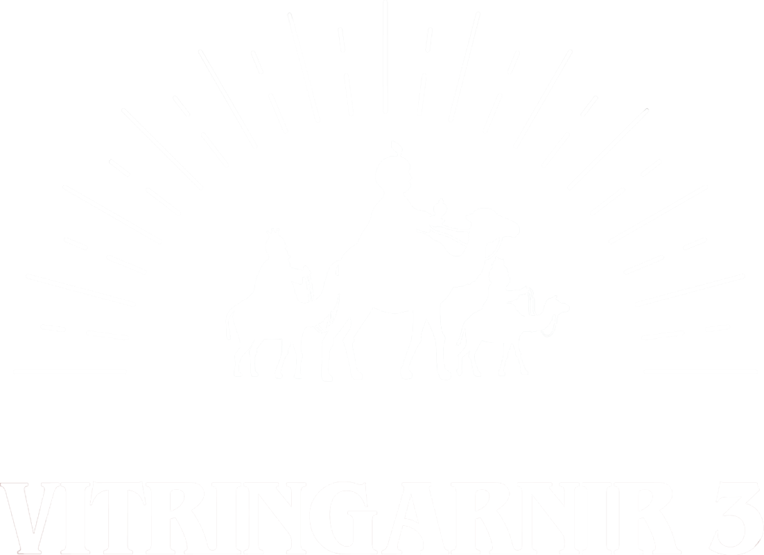 Vitringarnir logo